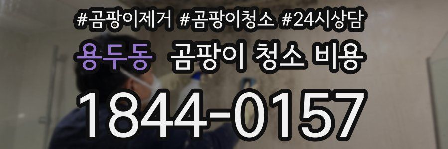 용두동 곰팡이 청소 비용