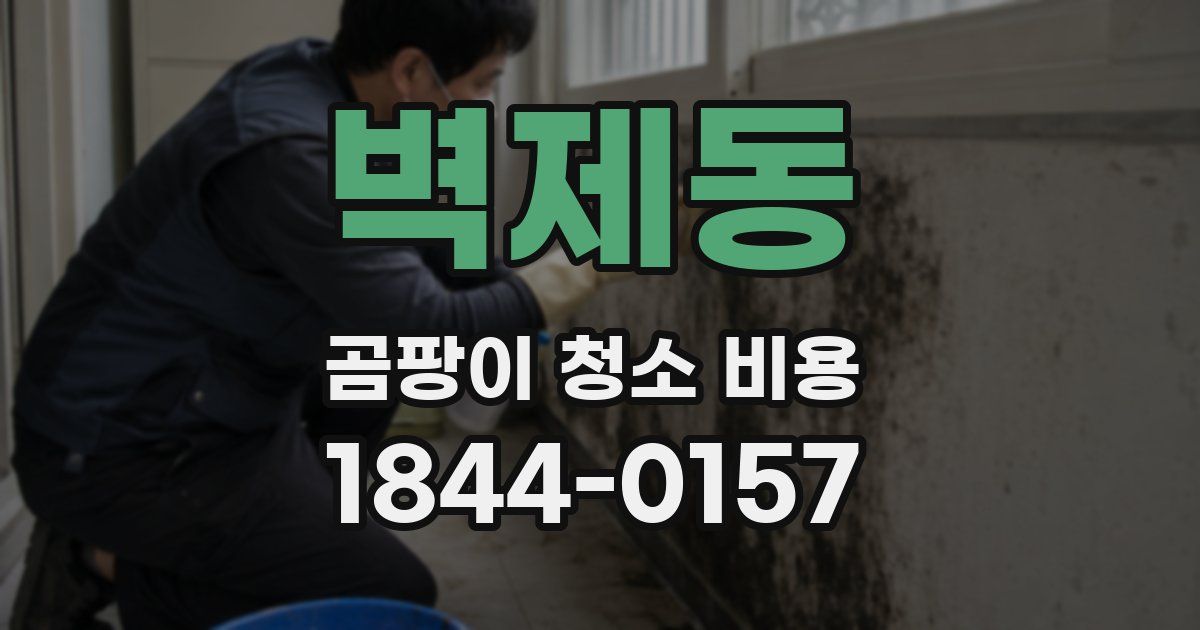 벽제동 곰팡이 청소 비용