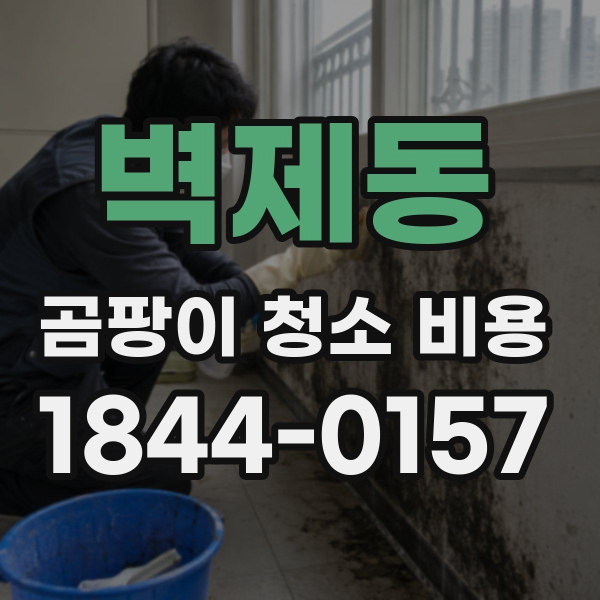 벽제동 곰팡이 청소 비용