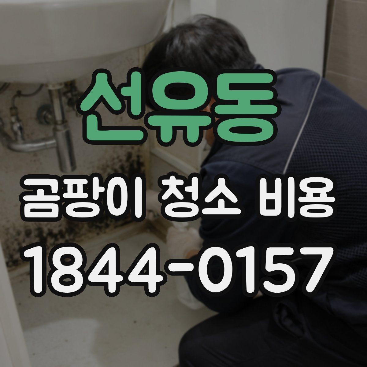 선유동 곰팡이 청소 비용 침실과 거실의 작업 난이도는 왜 다를까