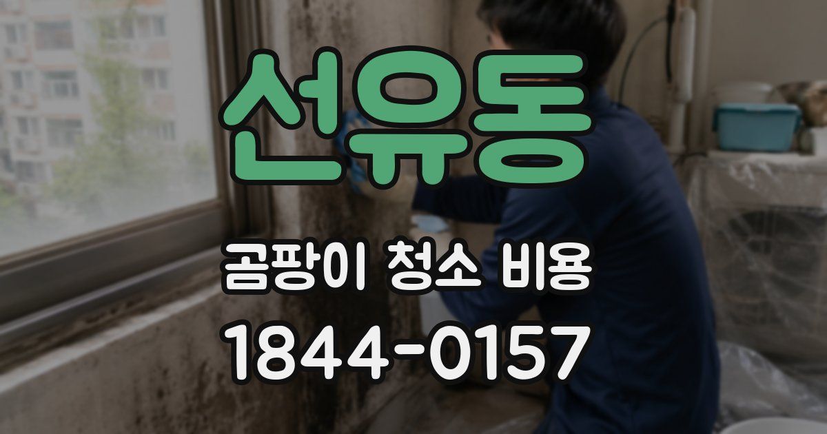 선유동 곰팡이 청소 비용