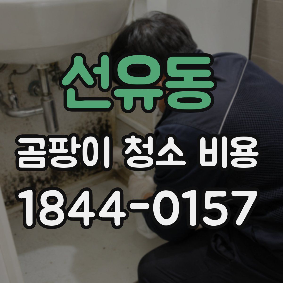 선유동 곰팡이 청소 비용