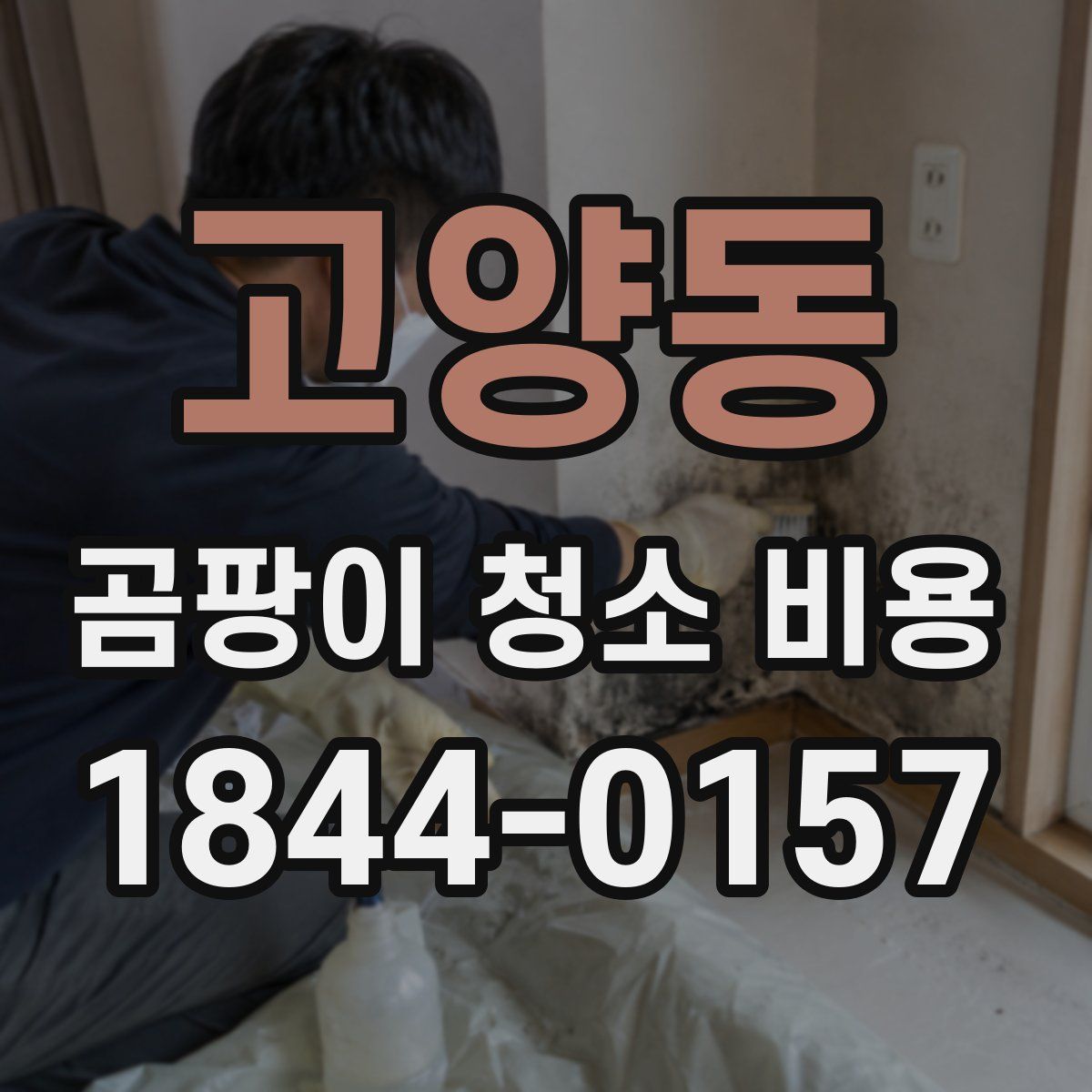 고양동 곰팡이 청소 비용