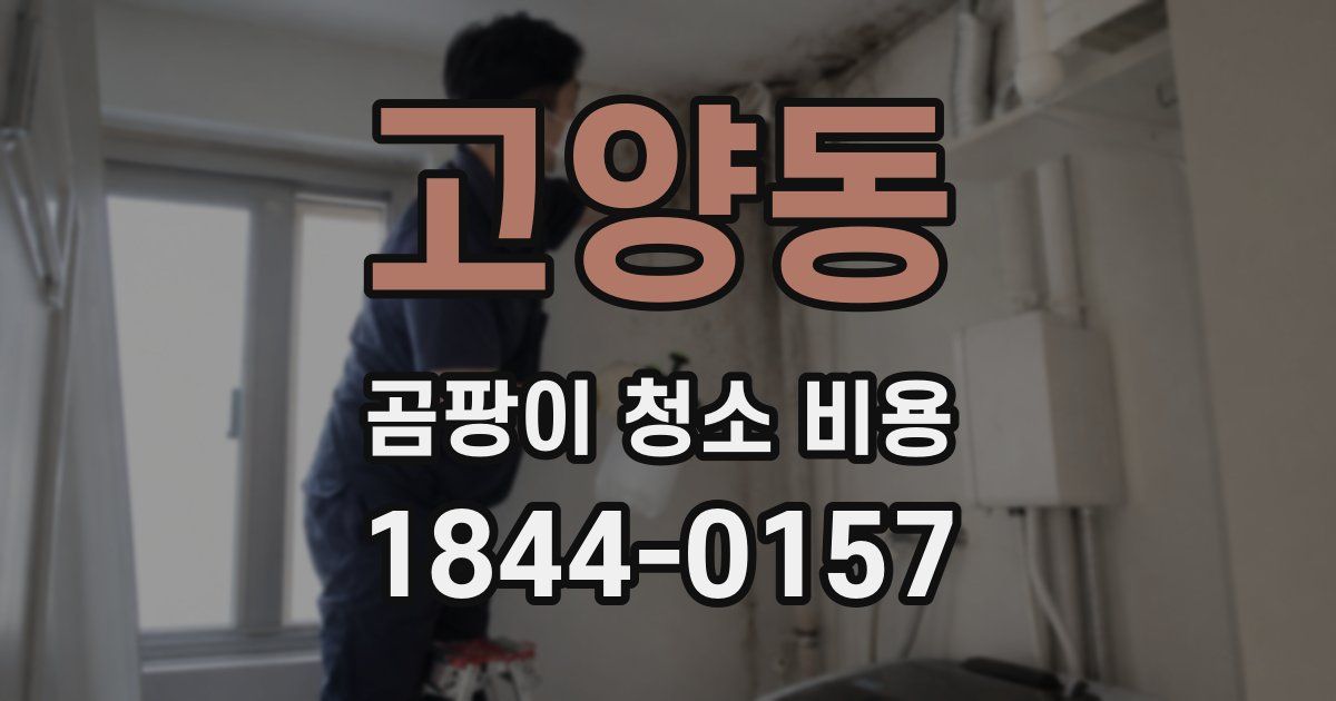 고양동 곰팡이 청소 비용