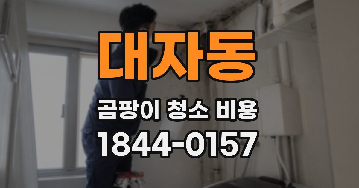 대자동 곰팡이 청소 비용