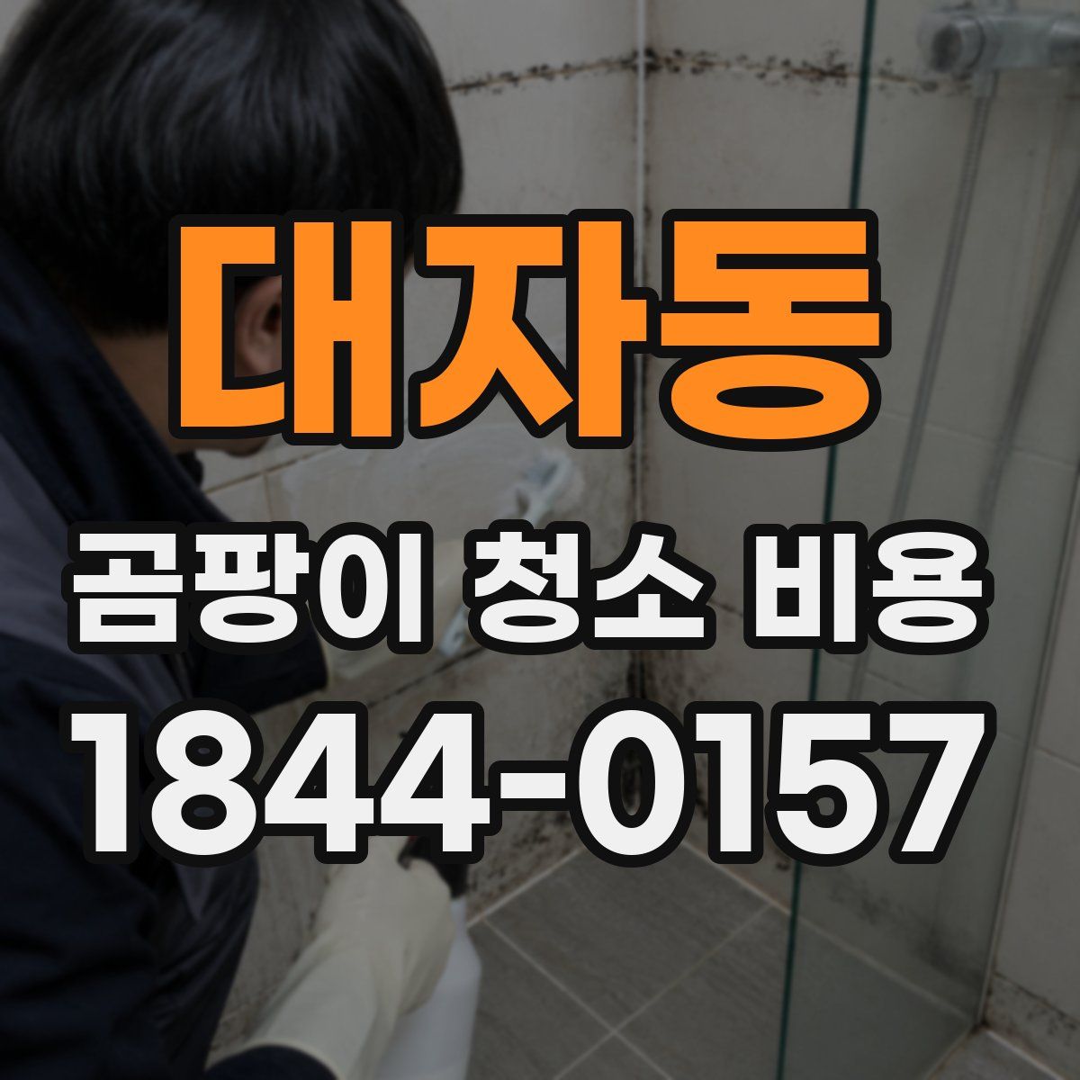 대자동 곰팡이 청소 비용