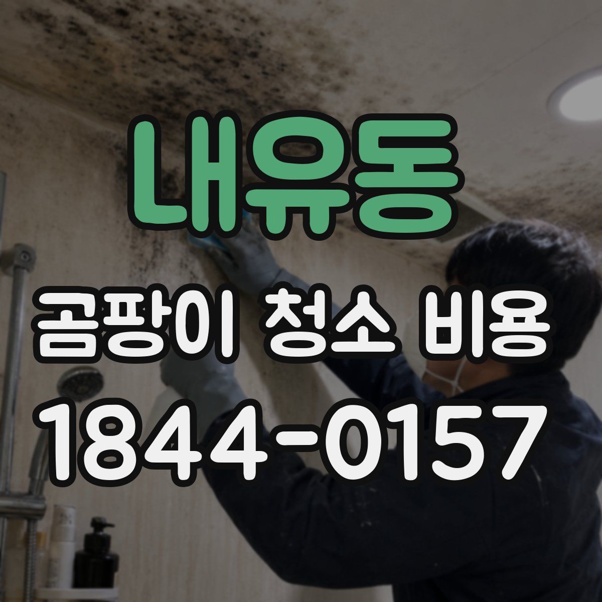내유동 곰팡이 청소 비용
