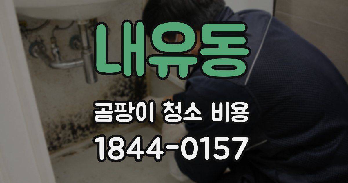내유동 곰팡이 청소 비용