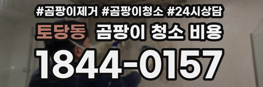 토당동 곰팡이 청소 비용
