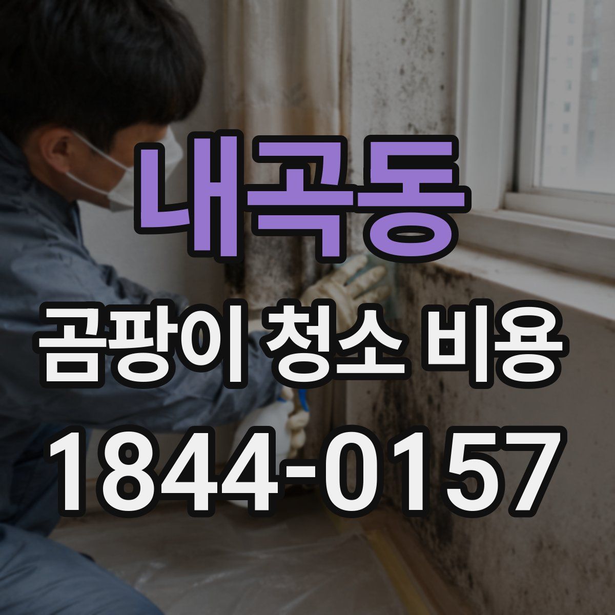 내곡동 곰팡이 청소 비용