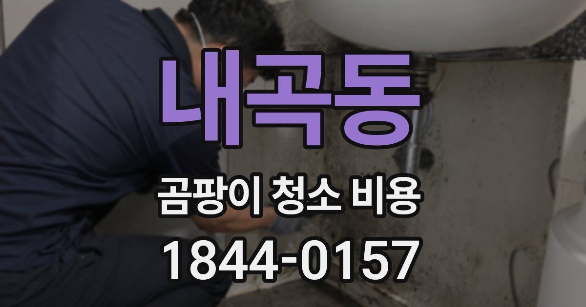 내곡동 곰팡이 청소 비용