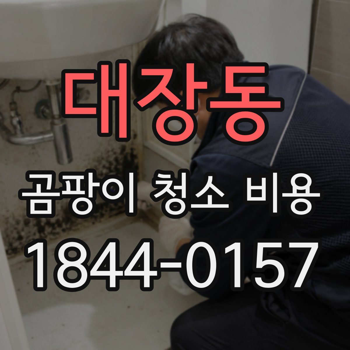 대장동 곰팡이 청소 비용