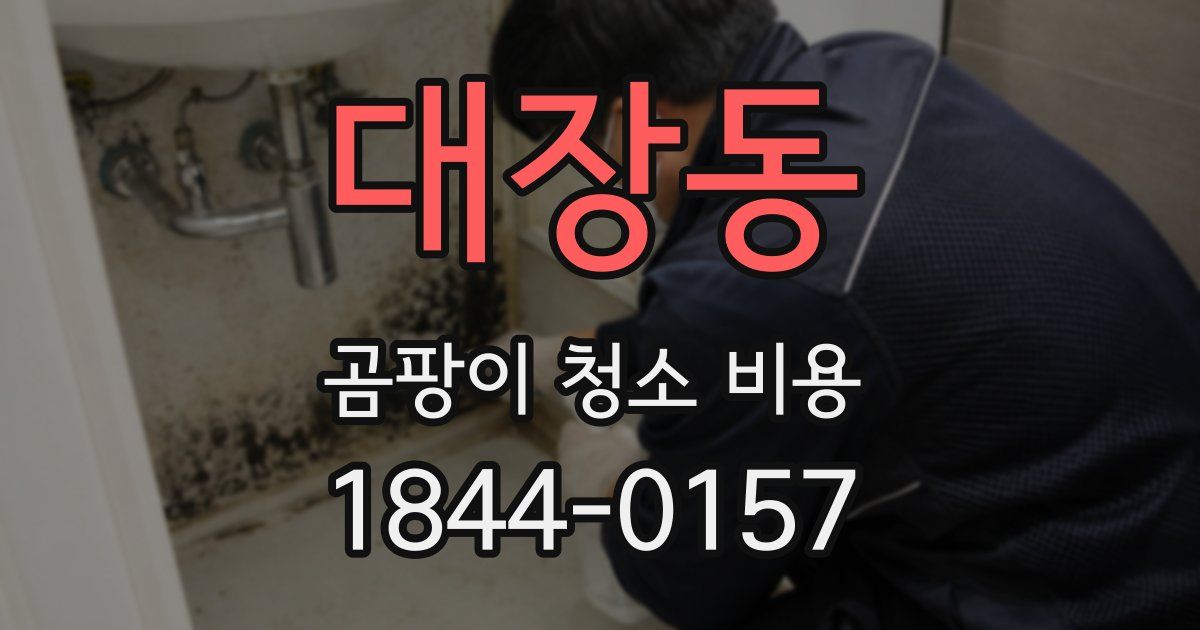 대장동 곰팡이 청소 비용