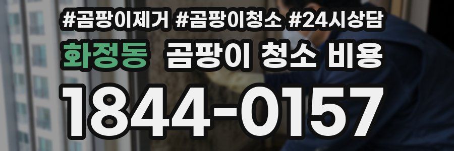 화정동 곰팡이 청소 비용