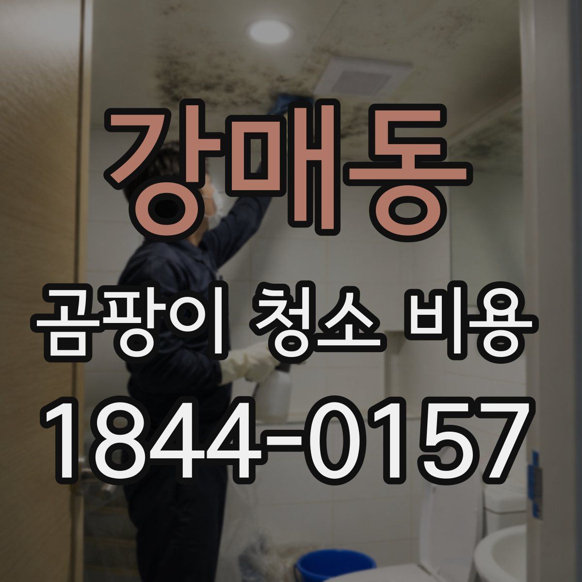 강매동 곰팡이 청소 비용