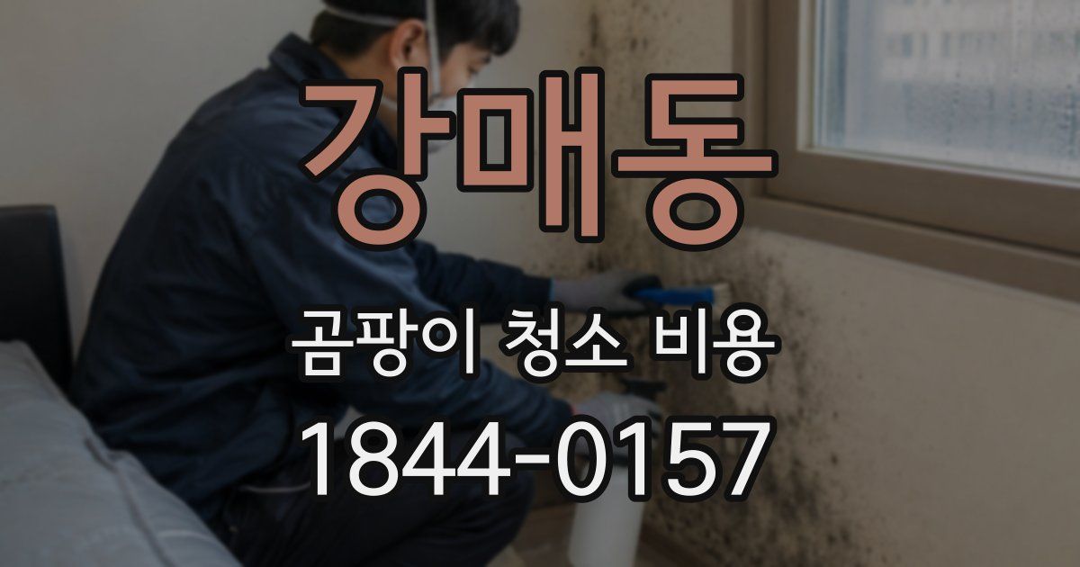 강매동 곰팡이 청소 비용