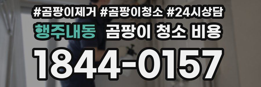 행주내동 곰팡이 청소 비용
