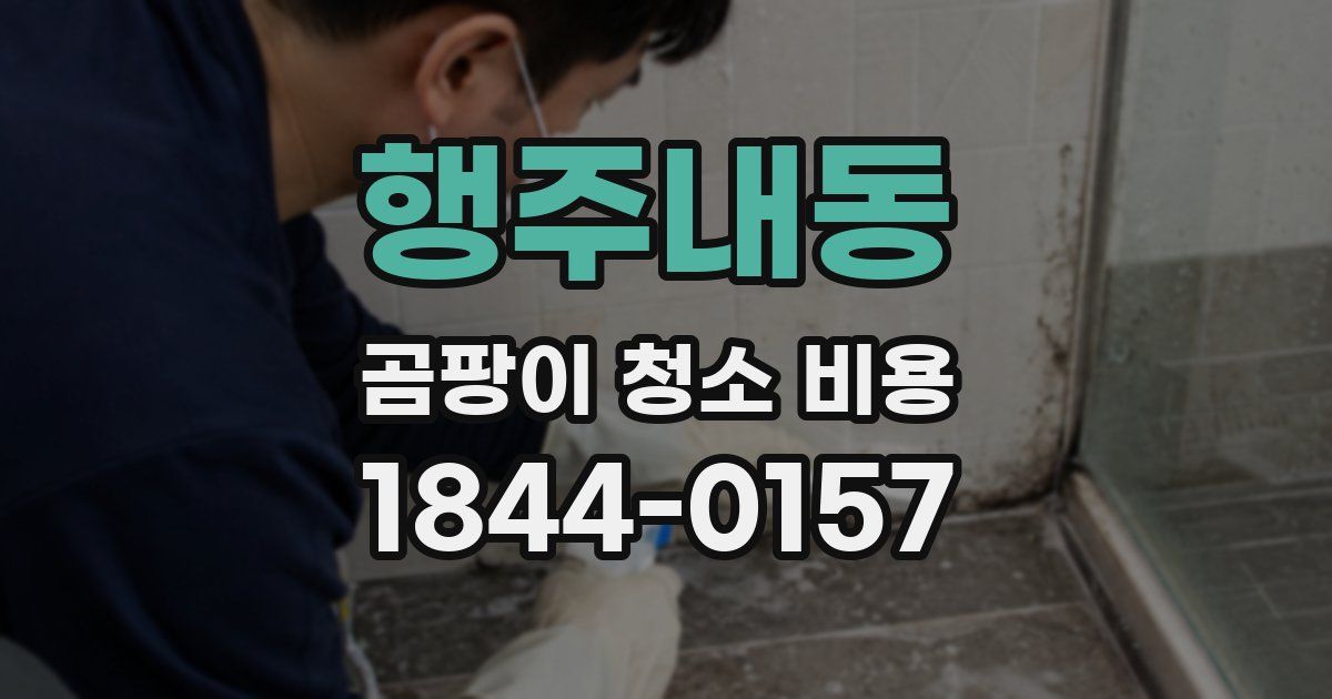 행주내동 곰팡이 청소 비용