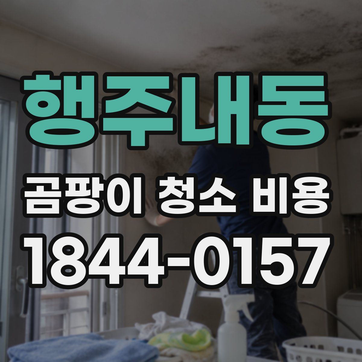 행주내동 곰팡이 청소 비용