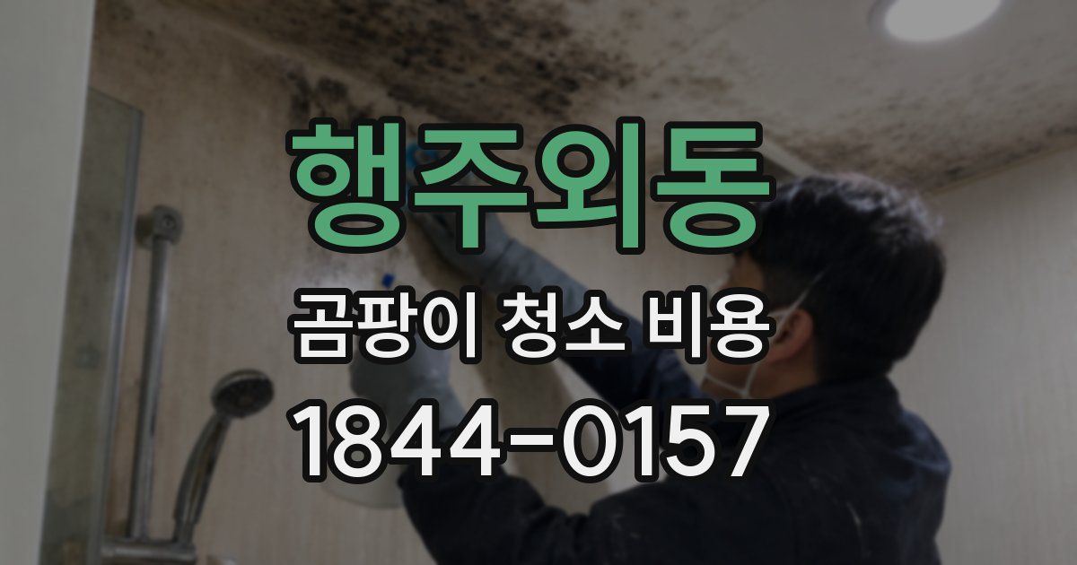 행주외동 곰팡이 청소 비용