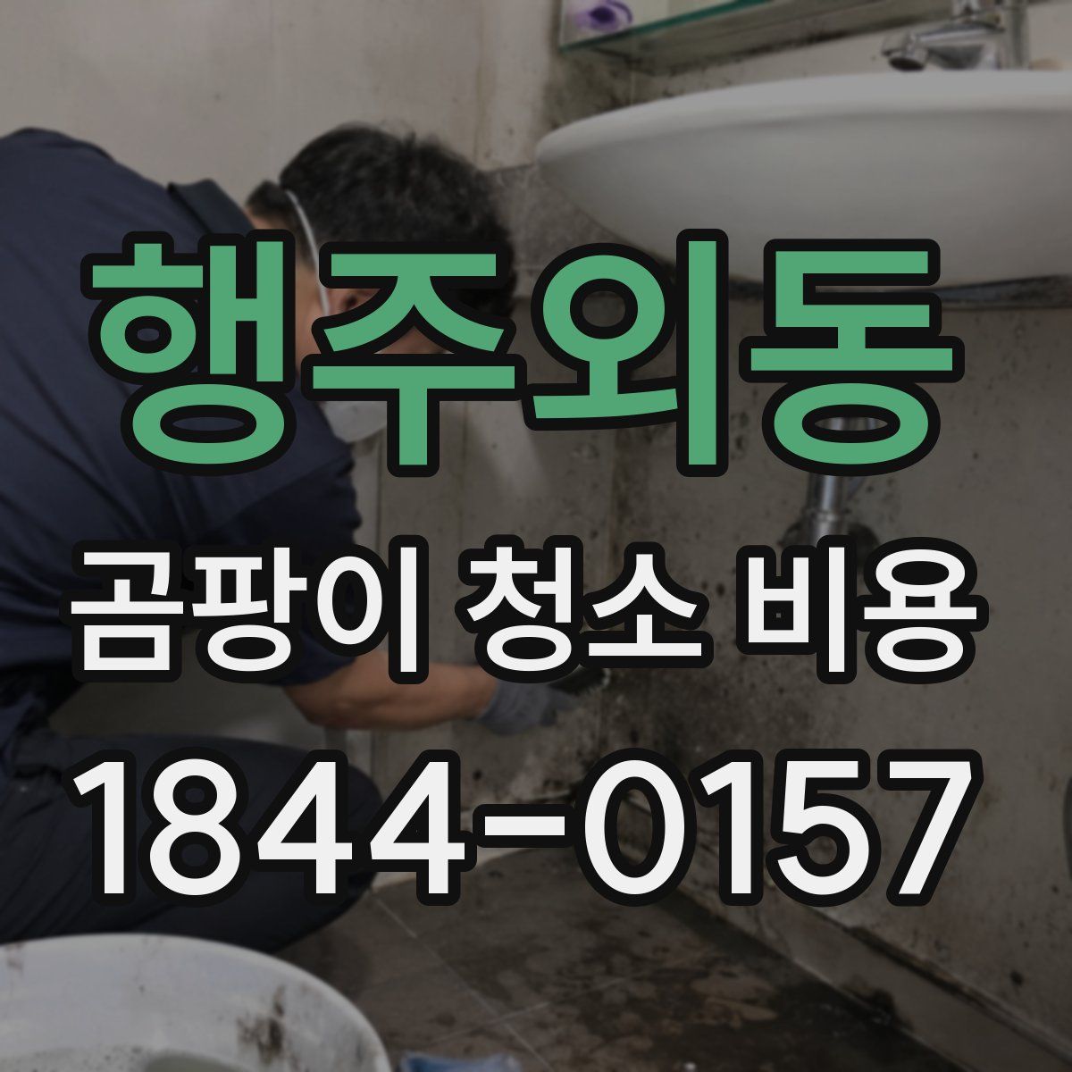 행주외동 곰팡이 청소 비용