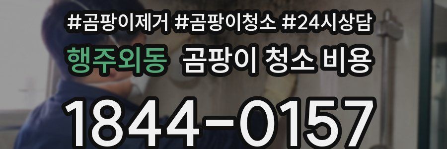 행주외동 곰팡이 청소 비용
