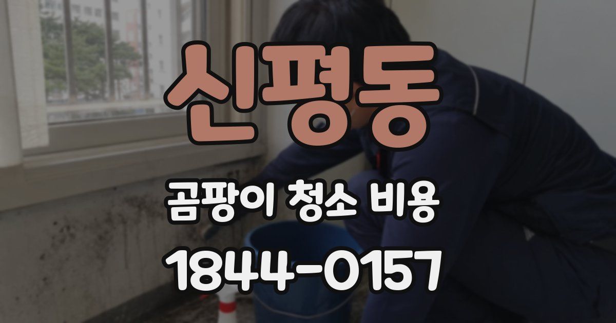 신평동 곰팡이 청소 비용