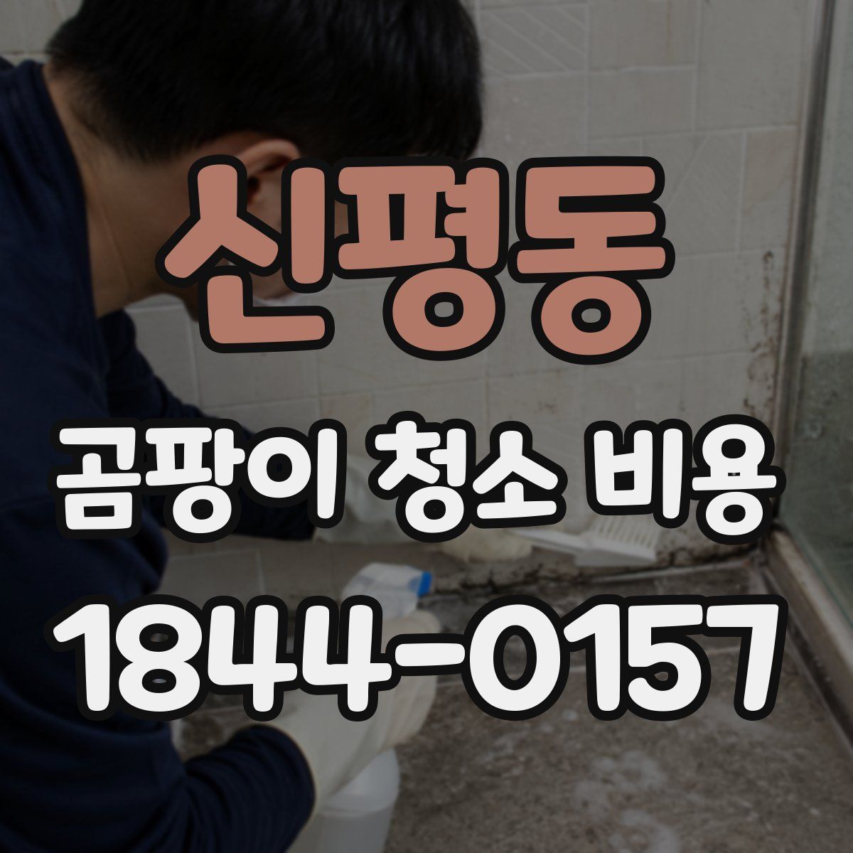 신평동 곰팡이 청소 비용