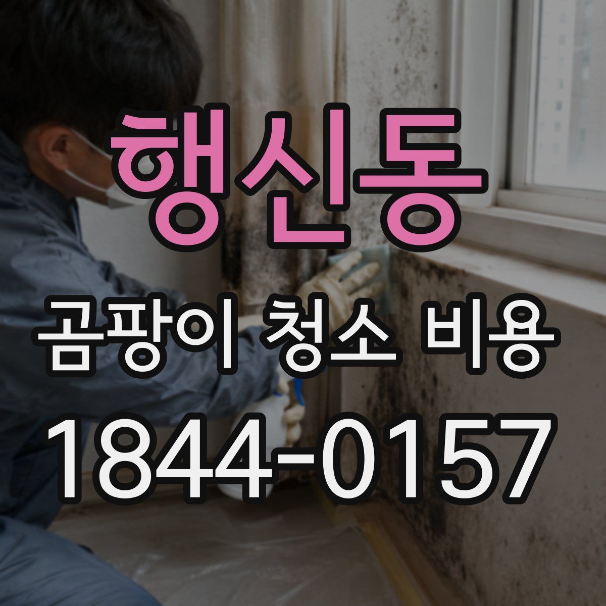 행신동 곰팡이 청소 비용