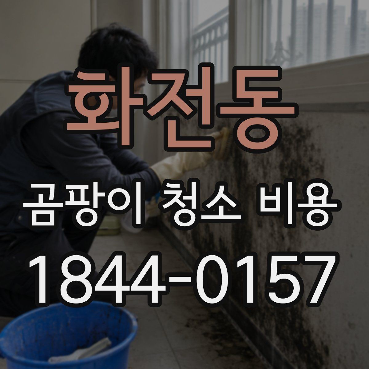 화전동 곰팡이 청소 비용 천장과 몰딩 주변이 더 손이 가는 이유