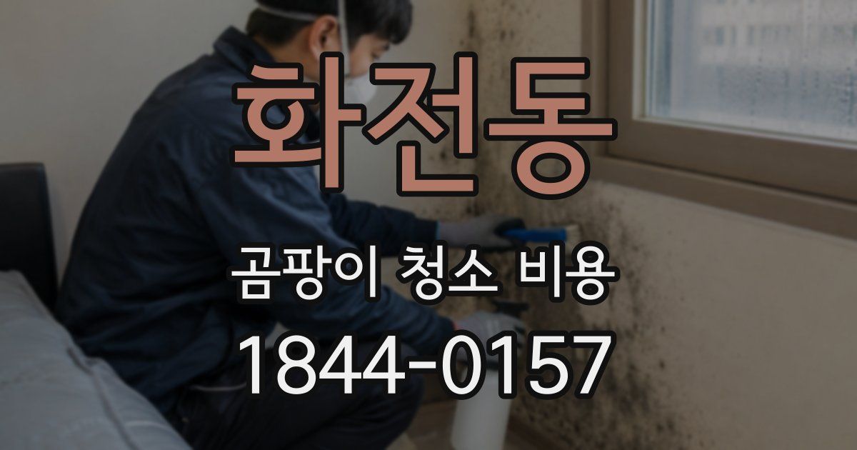 화전동 곰팡이 청소 비용
