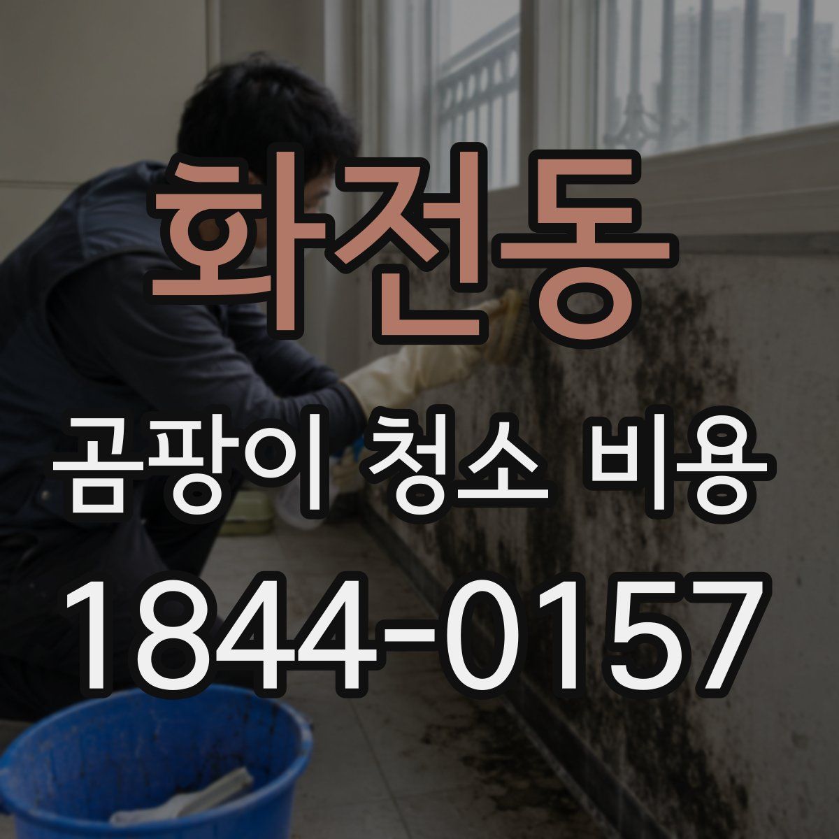 화전동 곰팡이 청소 비용