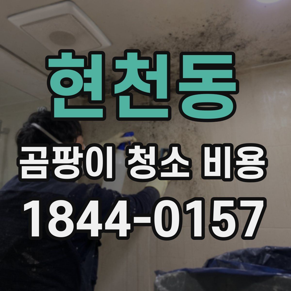 현천동 곰팡이 청소 비용