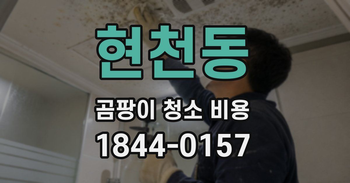 현천동 곰팡이 청소 비용