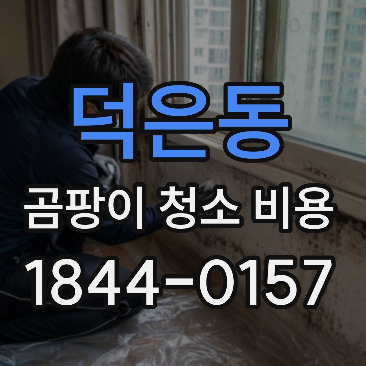 덕은동 곰팡이 청소 비용