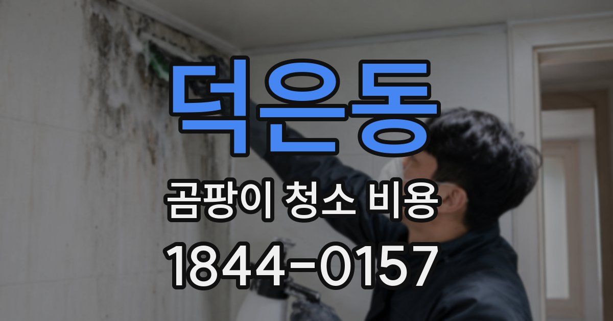 덕은동 곰팡이 청소 비용
