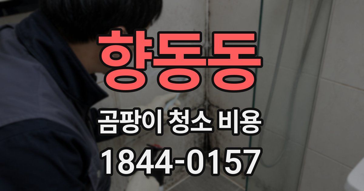 향동동 곰팡이 청소 비용