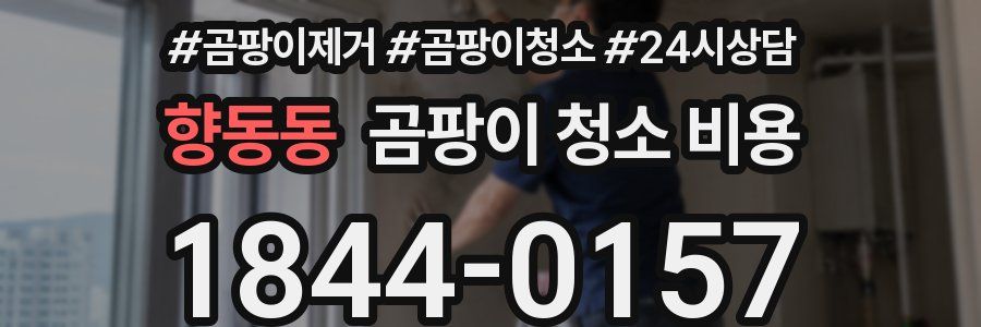 향동동 곰팡이 청소 비용
