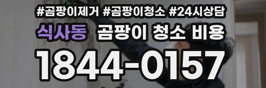식사동 곰팡이 청소 비용