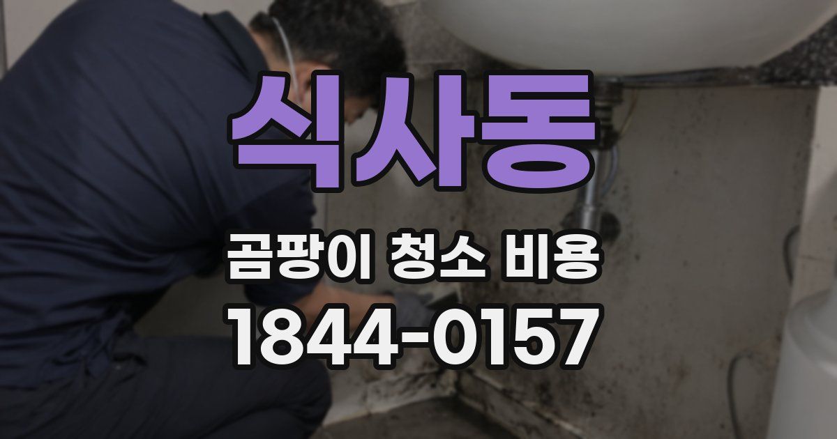 식사동 곰팡이 청소 비용