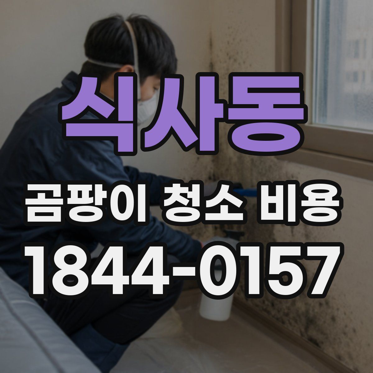식사동 곰팡이 청소 비용