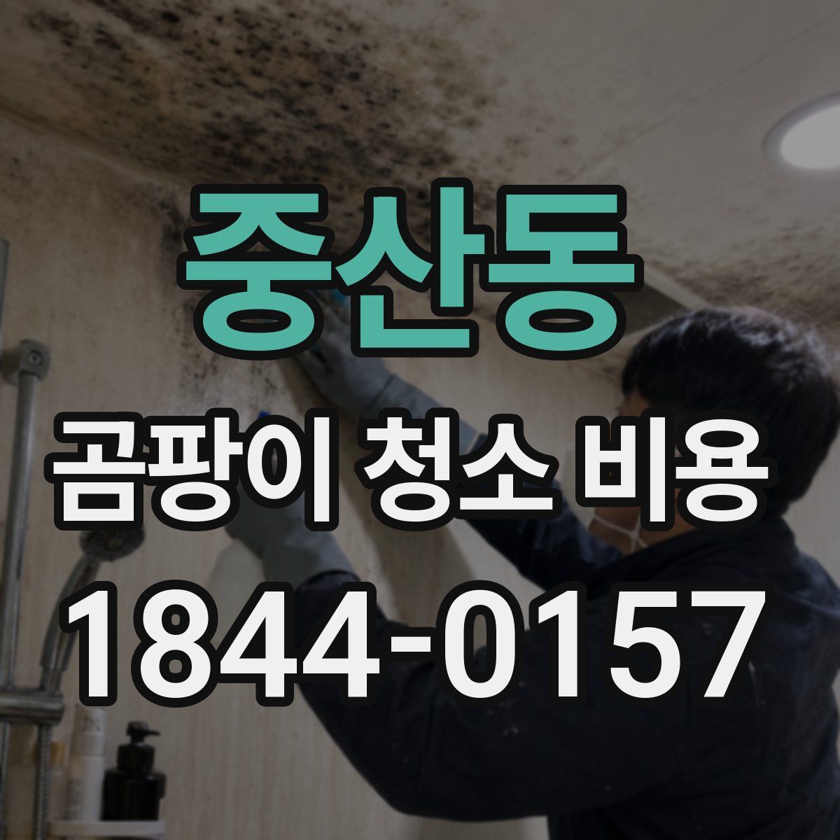 중산동 곰팡이 청소 비용