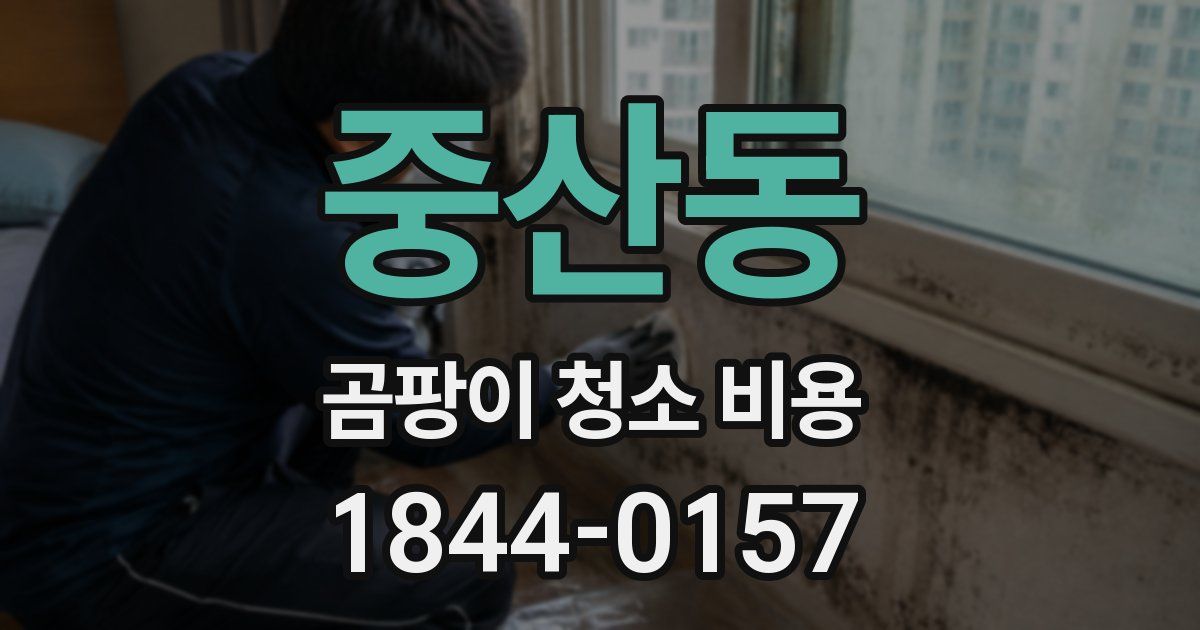 중산동 곰팡이 청소 비용