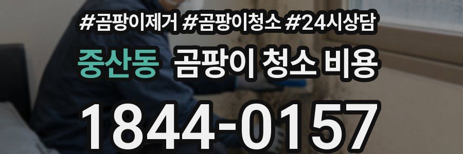 중산동 곰팡이 청소 비용