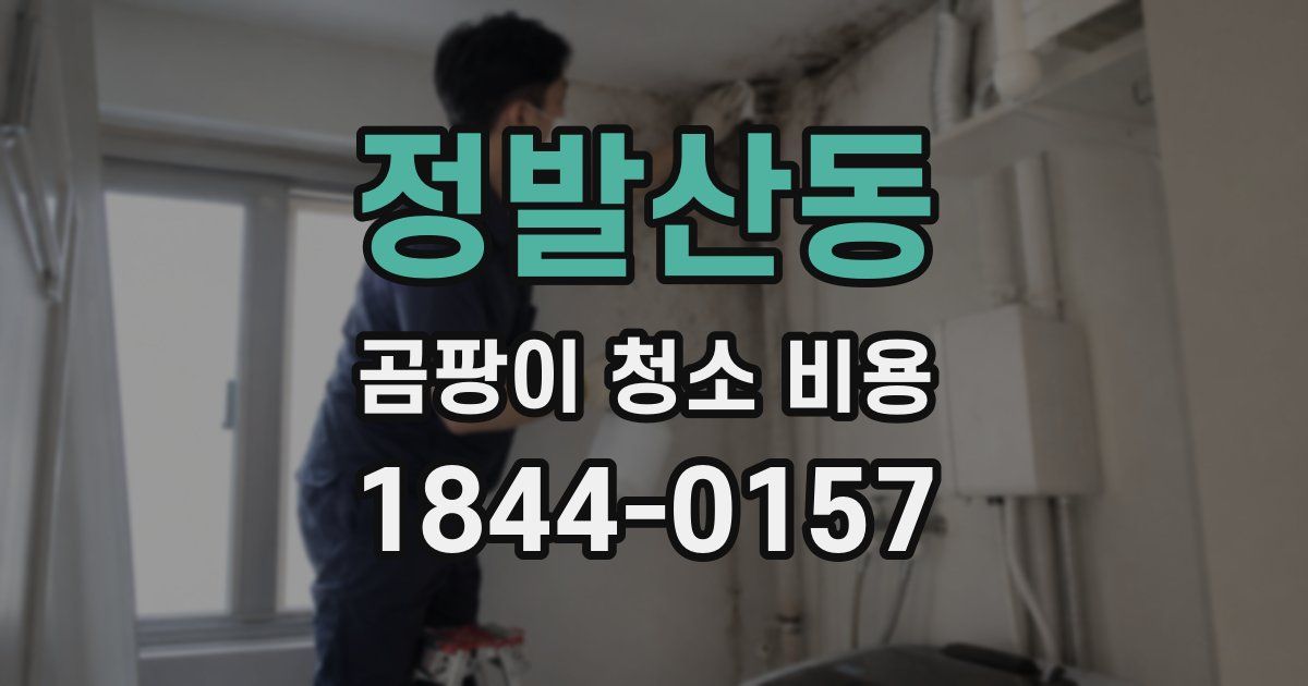 정발산동 곰팡이 청소 비용
