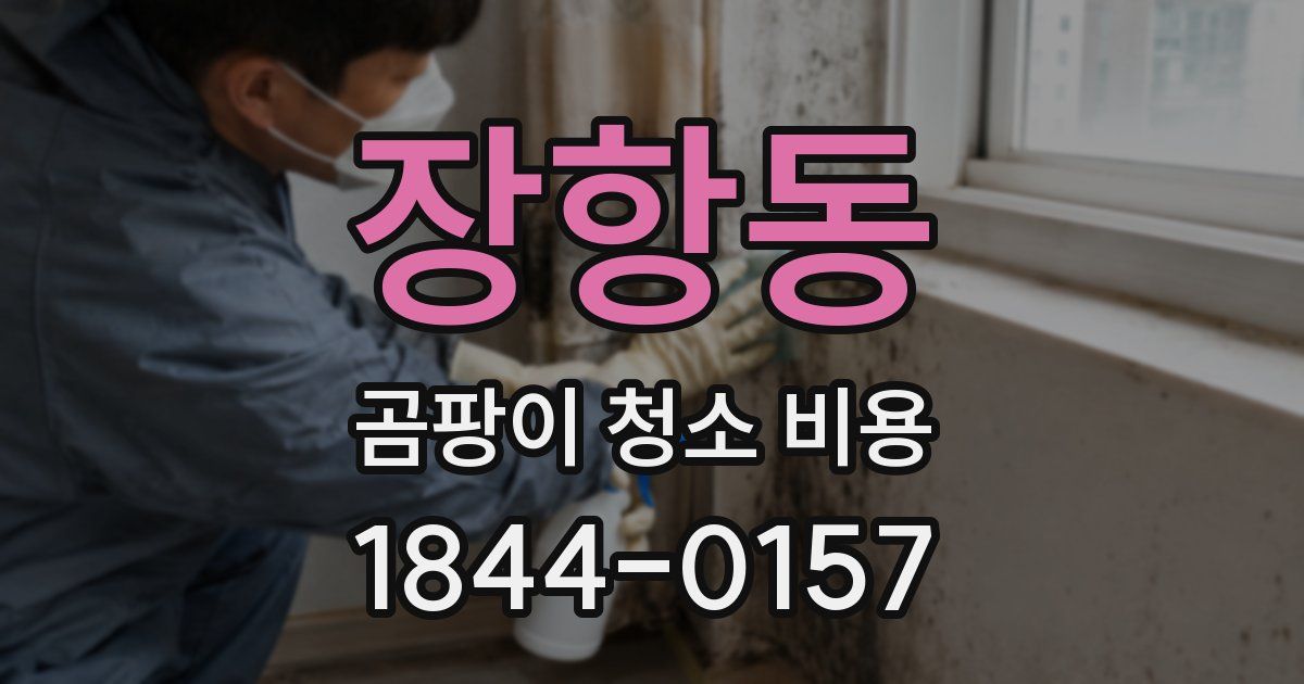 장항동 곰팡이 청소 비용