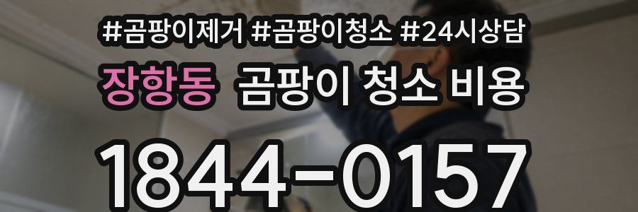 장항동 곰팡이 청소 비용