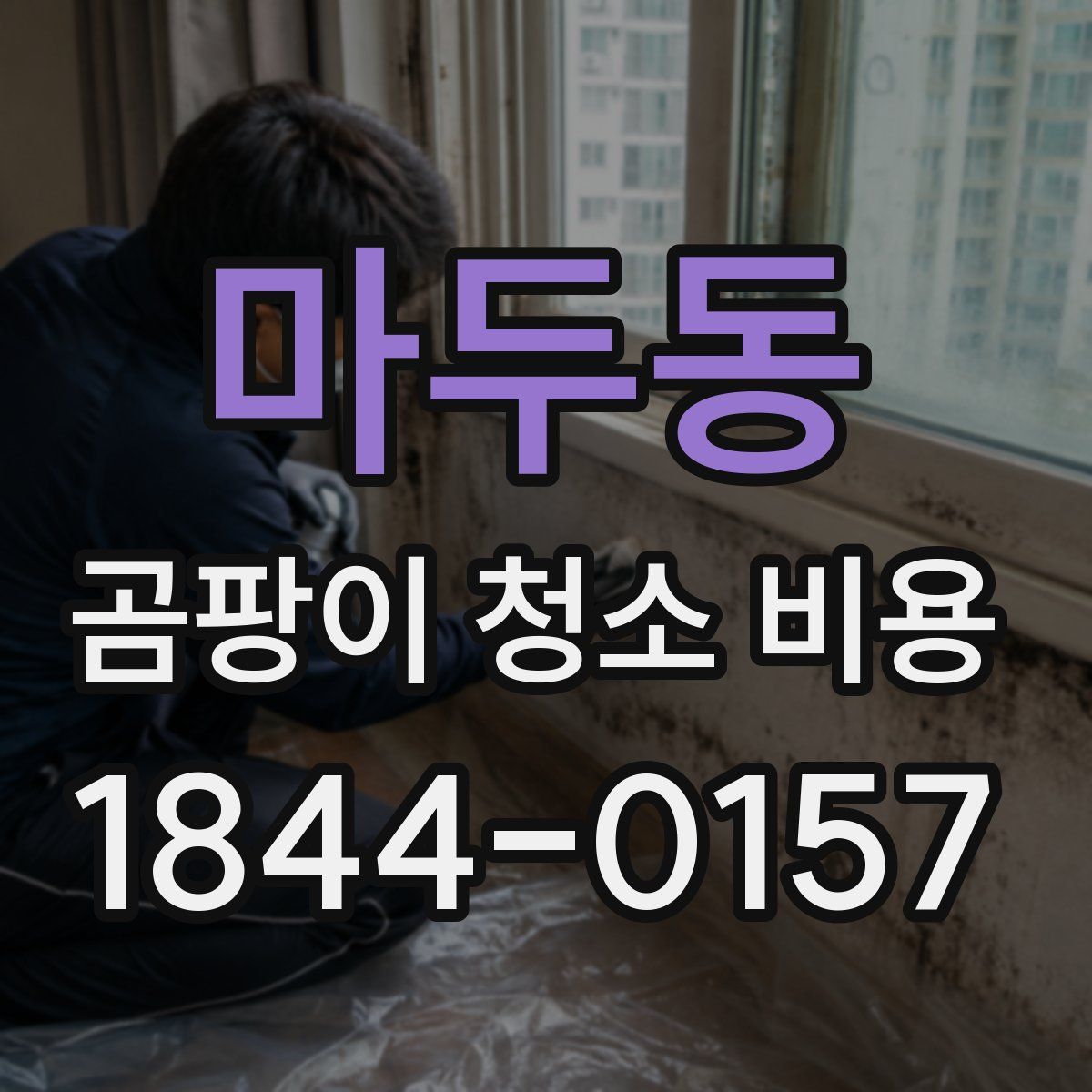 마두동 곰팡이 청소 비용
