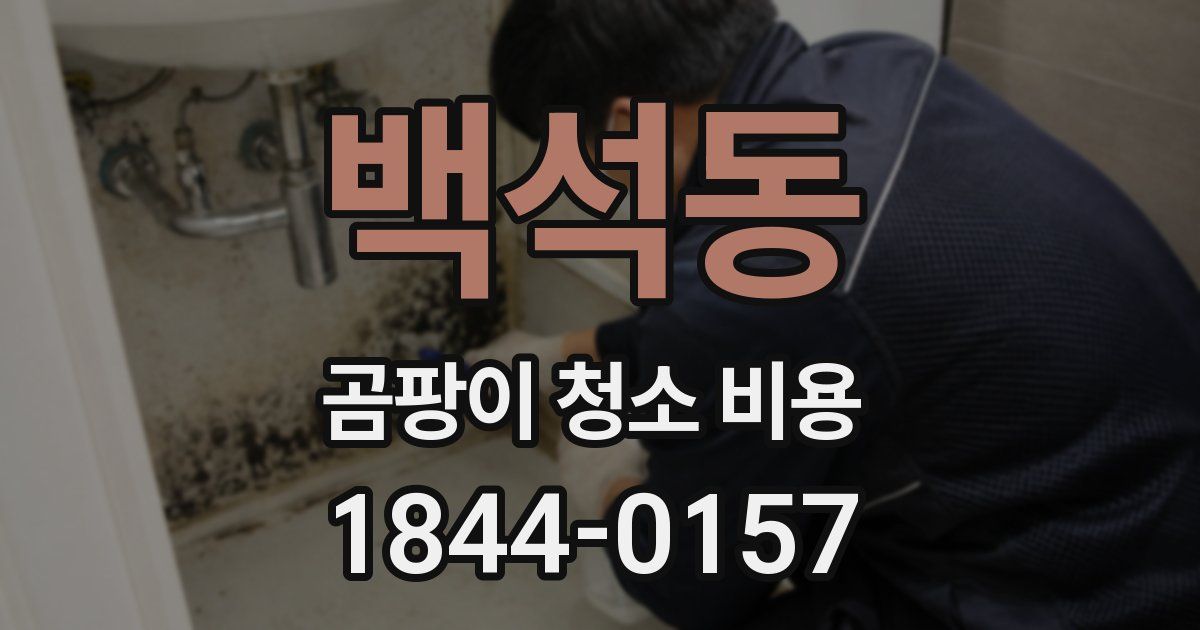 백석동 곰팡이 청소 비용