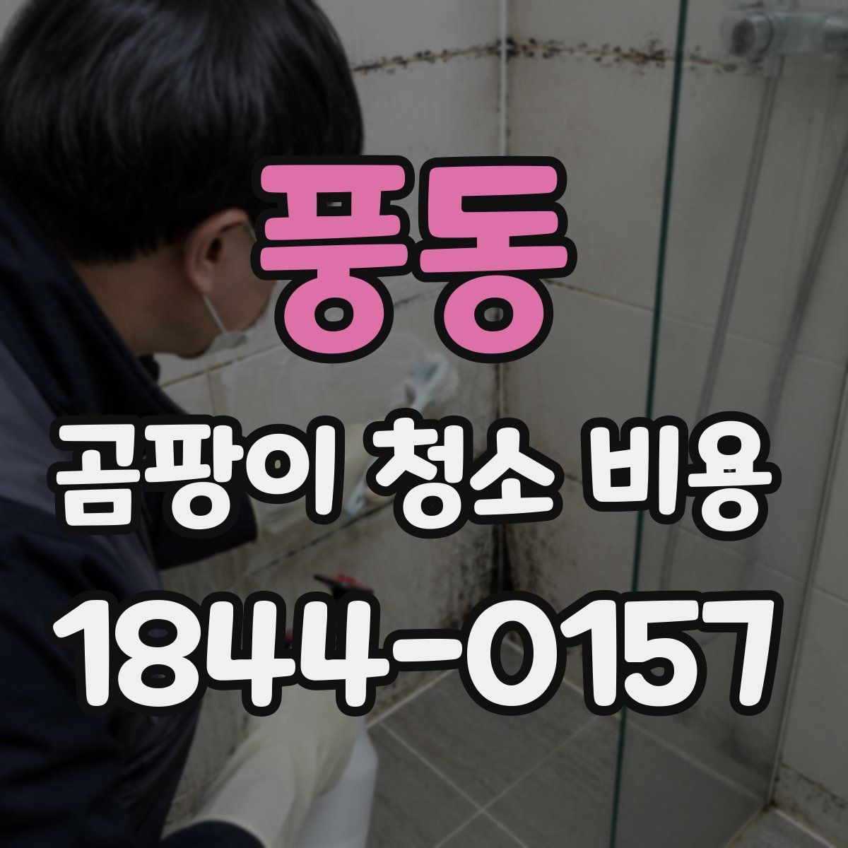 풍동 곰팡이 청소 비용